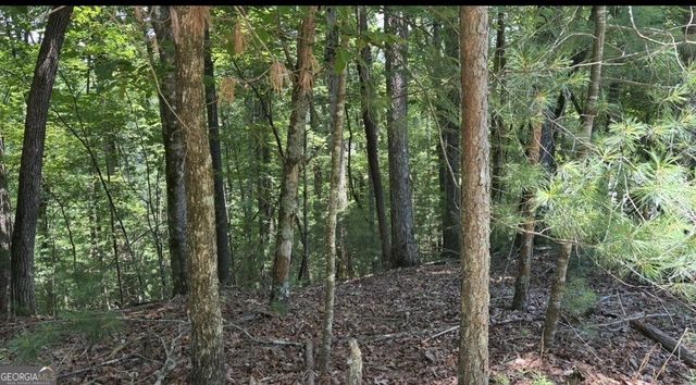 LOT 3469 Fir Lane, Ellijay, GA 30540