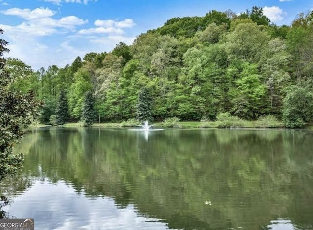 LOT 3469 Fir Lane, Ellijay, GA 30540