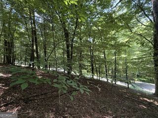 LOT 3469 Fir Lane, Ellijay, GA 30540