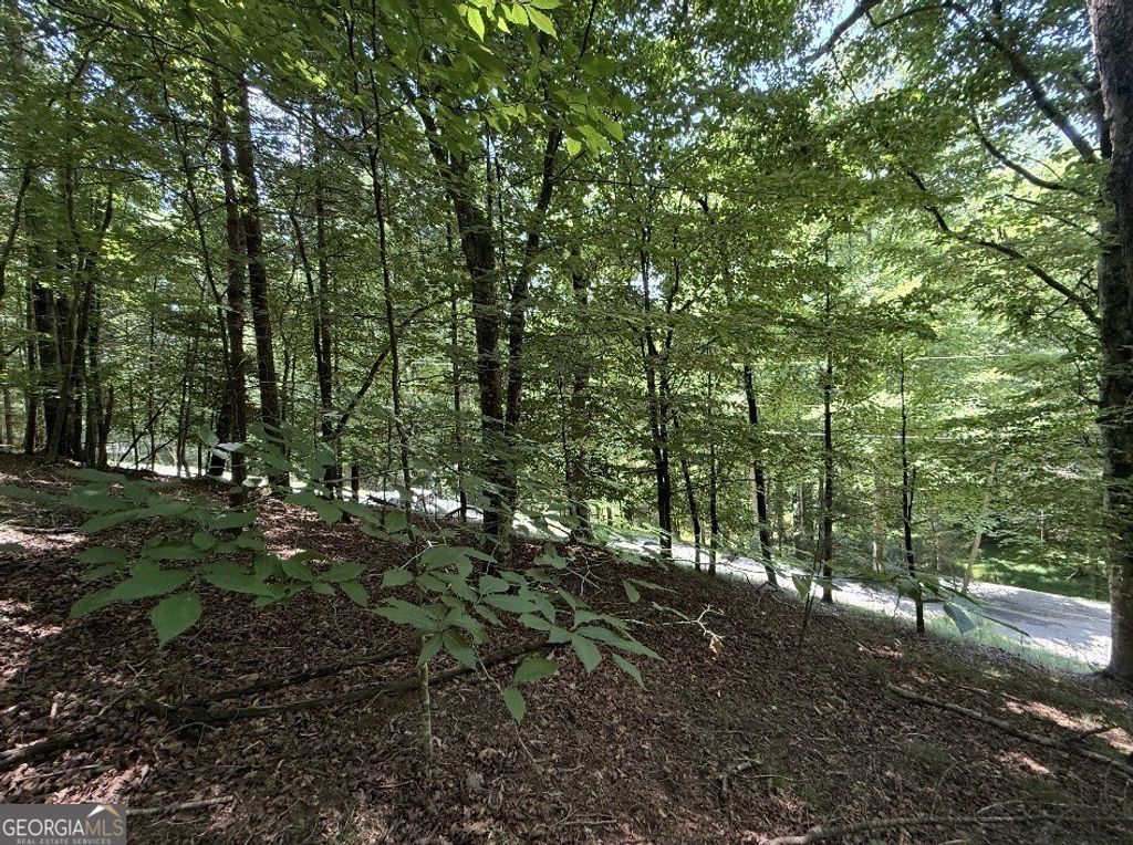 LOT 3469 Fir Lane, Ellijay, GA 30540