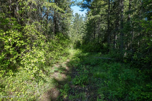 NKA Lot 3 Flat Iron, Spirit Lake, ID 83869