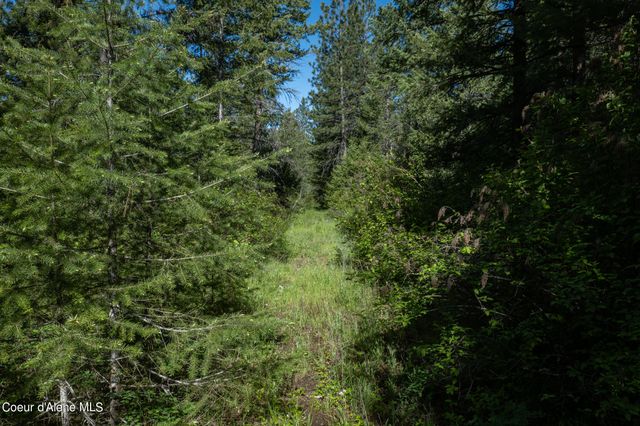 NKA Lot 3 Flat Iron, Spirit Lake, ID 83869