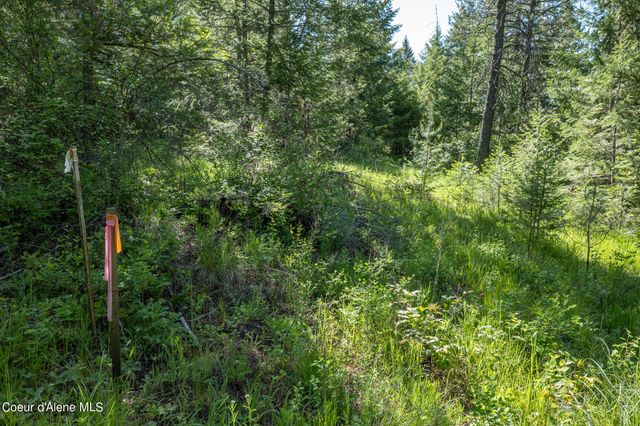 NKA Lot 3 Flat Iron, Spirit Lake, ID 83869