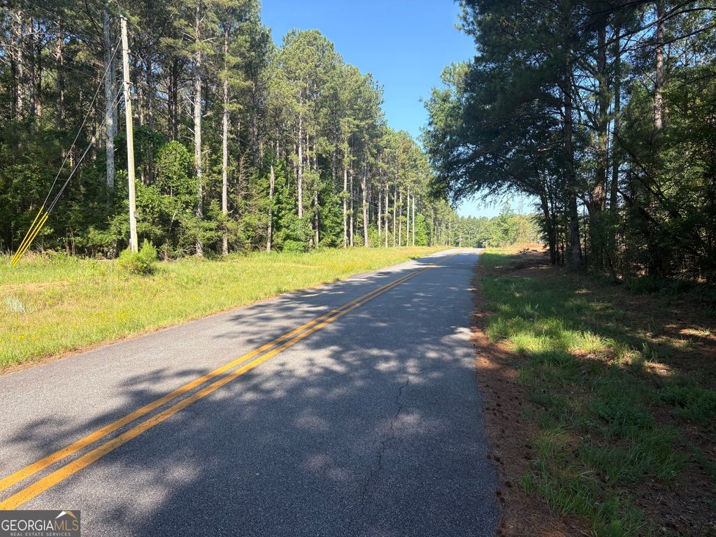 41 Elton Stewart Road, Carlton, GA 30627 — exterior