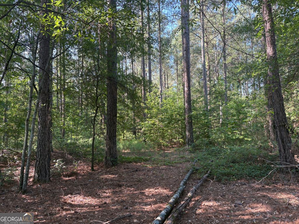 41 Elton Stewart Road, Carlton, GA 30627 — photo 2