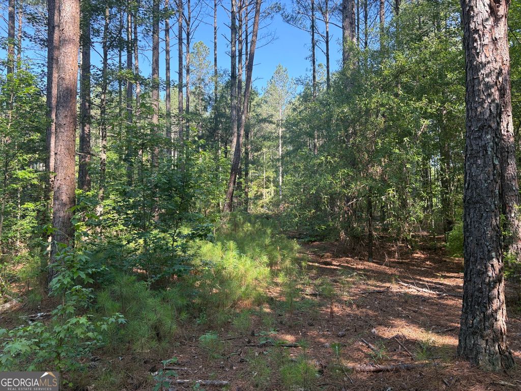 41 Elton Stewart Road, Carlton, GA 30627 — photo 3