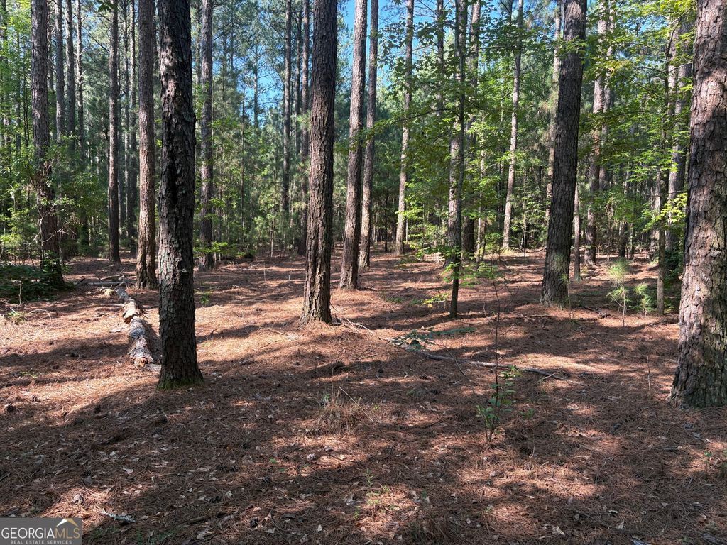41 Elton Stewart Road, Carlton, GA 30627 — photo 4