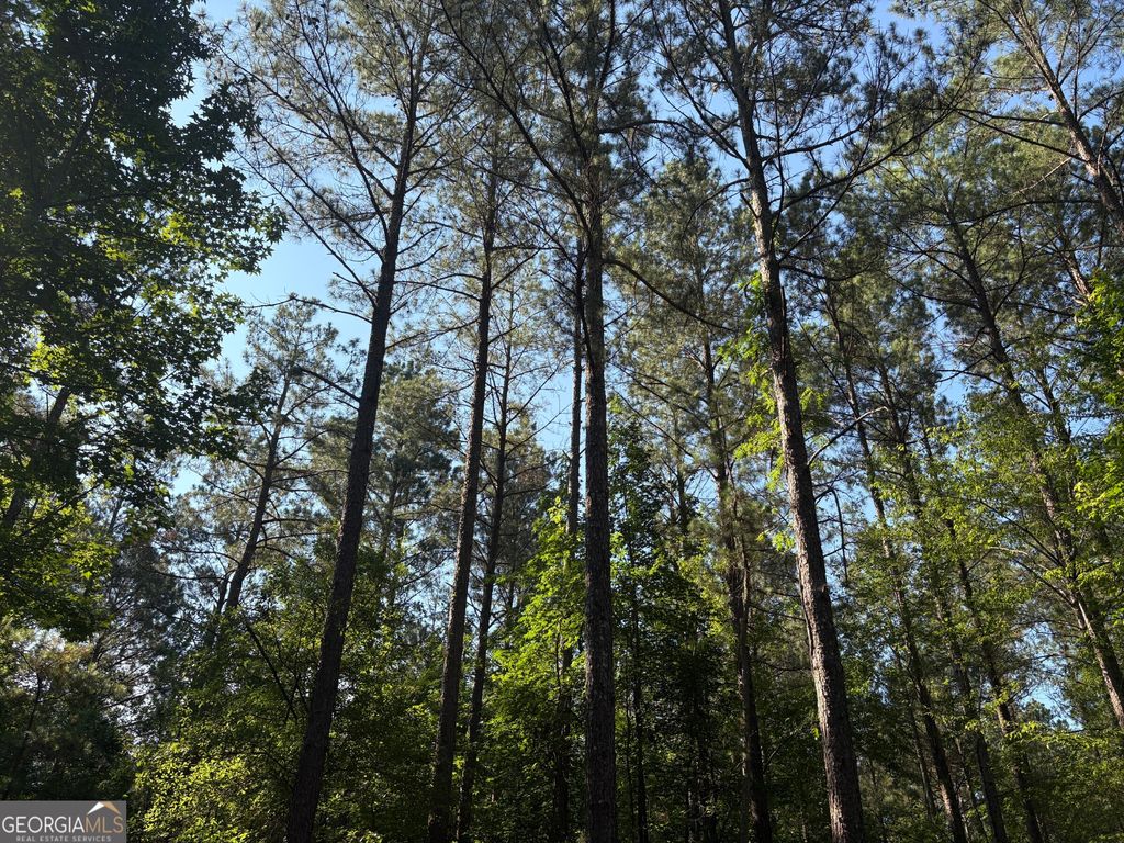 41 Elton Stewart Road, Carlton, GA 30627 — photo 5