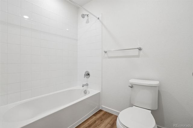 1436 Boyle Street, Windsor, CO 80550