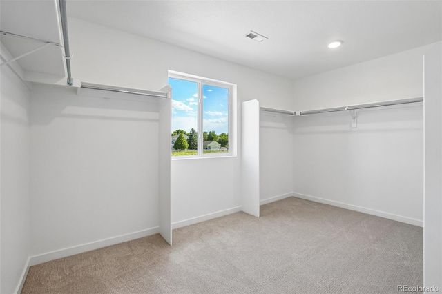 1436 Boyle Street, Windsor, CO 80550