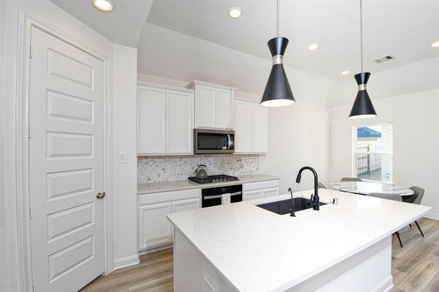 17703 Rosette Grass Drive, Conroe, TX 77385