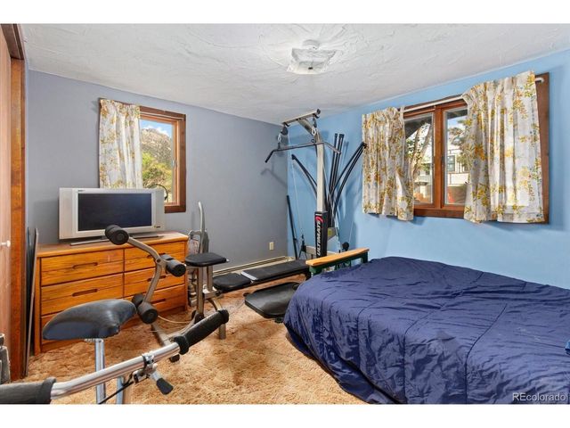 519 Cedar St, Buena Vista, CO 81211
