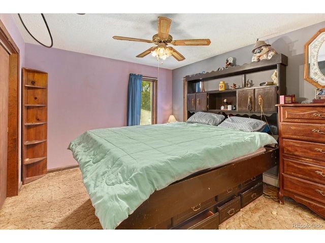 519 Cedar St, Buena Vista, CO 81211
