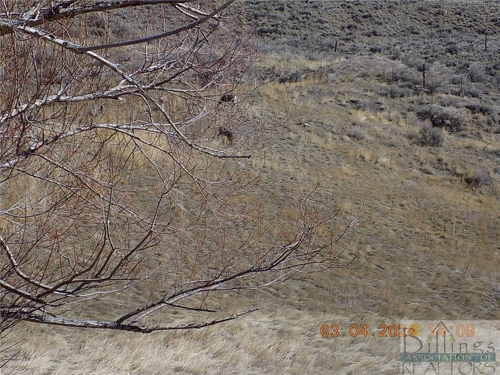 215 N 1st Street, BearCreek, MT 59007 photo 4