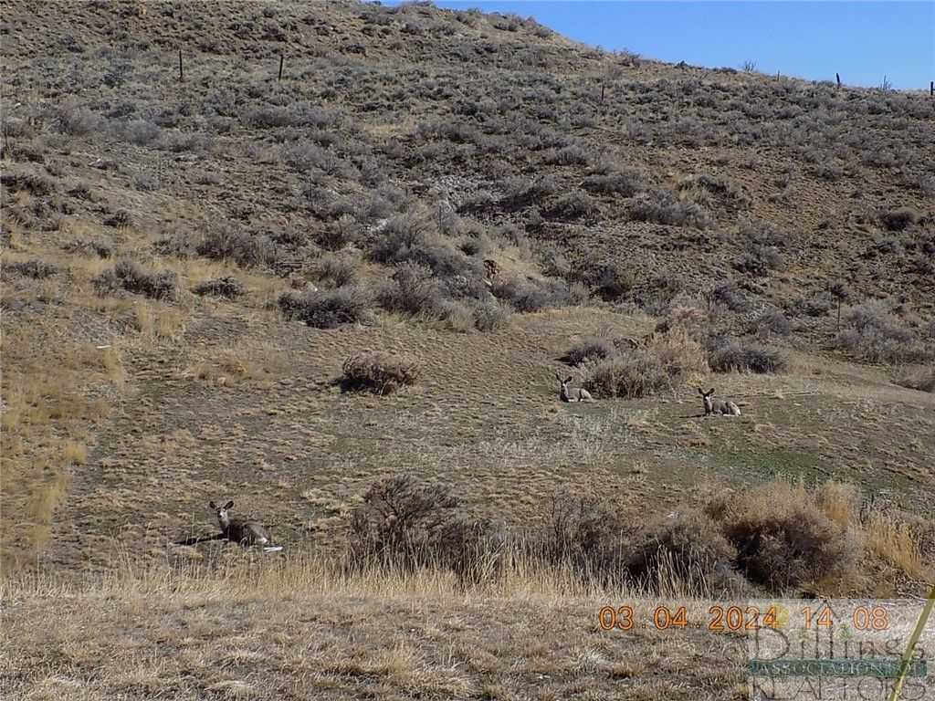 215 N 1st Street, BearCreek, MT 59007 photo 7