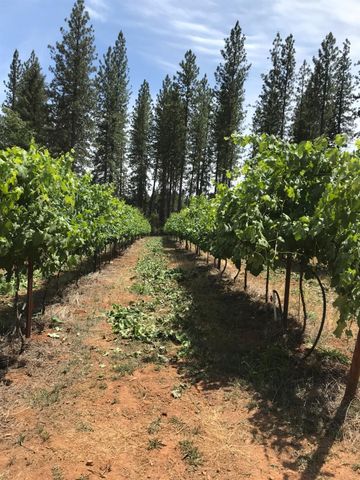 14792 Wabash Ave, Grass Valley, CA 95945