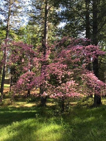 14792 Wabash Ave, Grass Valley, CA 95945