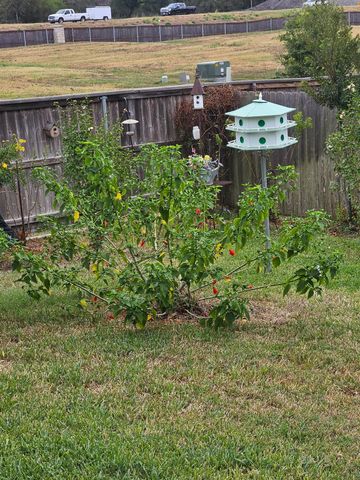 2001 Vineyard Pass, Brenham, TX 77833