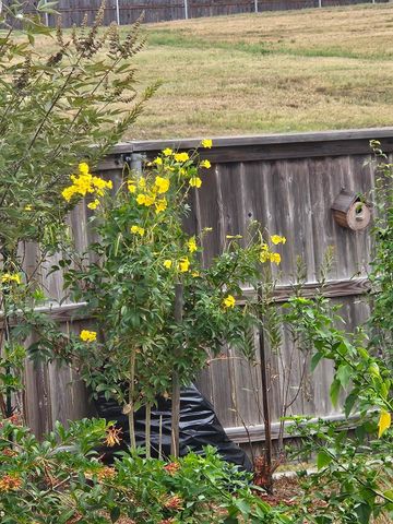 2001 Vineyard Pass, Brenham, TX 77833