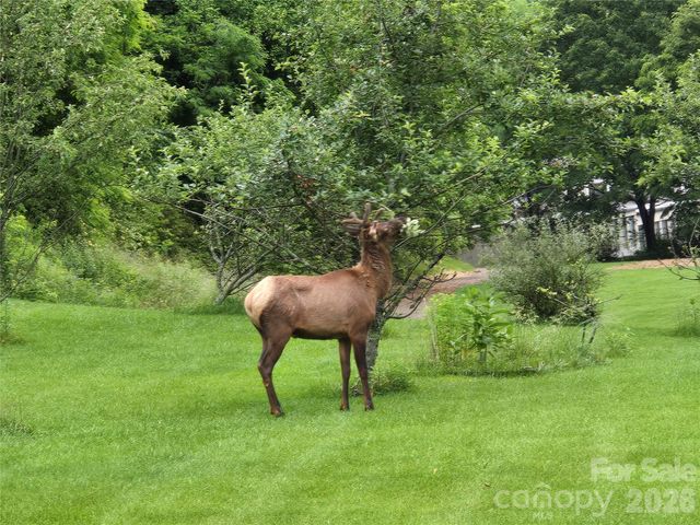 96 Garden Court, Maggie Valley, NC 28751