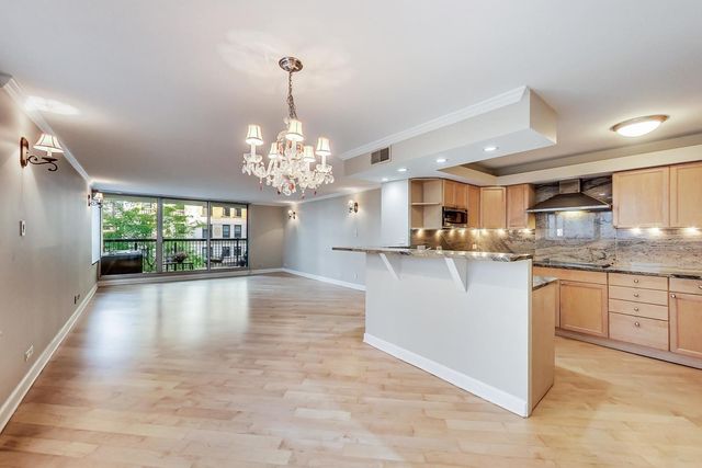 201 E Chestnut Street 3A, Chicago, IL 60611
