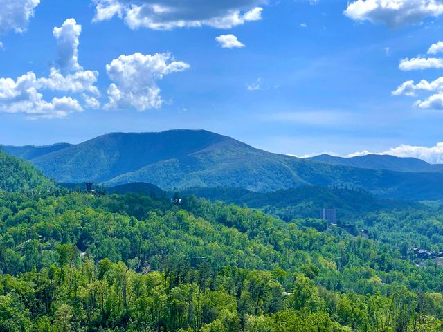 216 W Pinnacle Drive, Gatlinburg, TN 37738