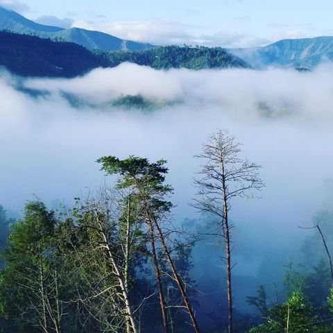 216 W Pinnacle Drive, Gatlinburg, TN 37738