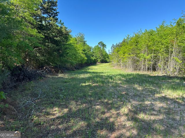 208 Oak Grove Lane, Sylvania, GA 30467