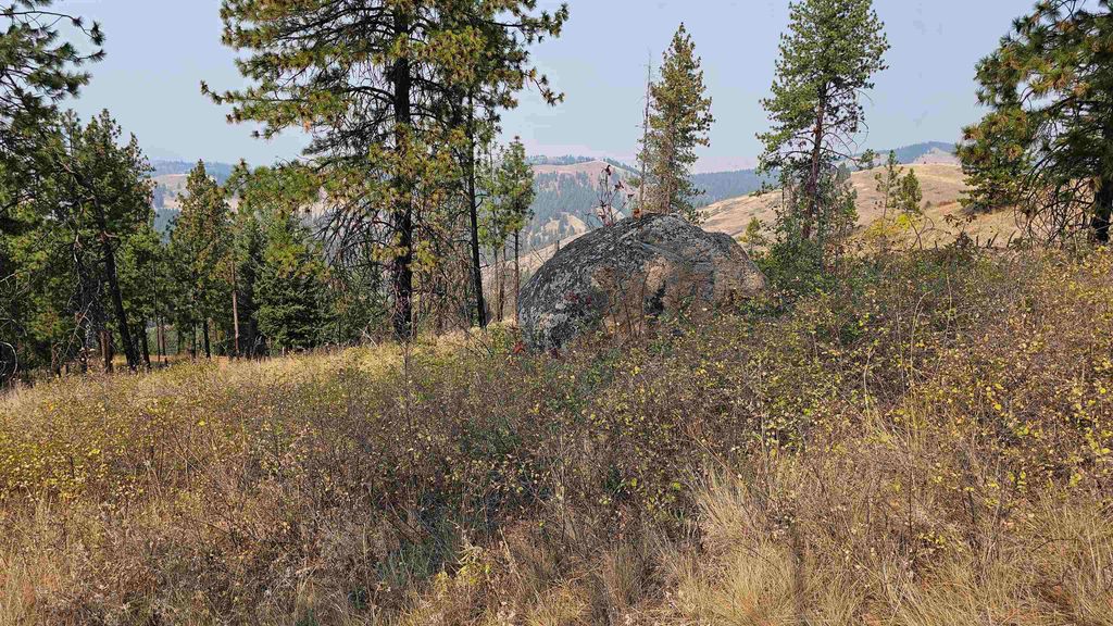 5884 H Coyote Canyon Rd, Fruitland, WA 99129 photo 2