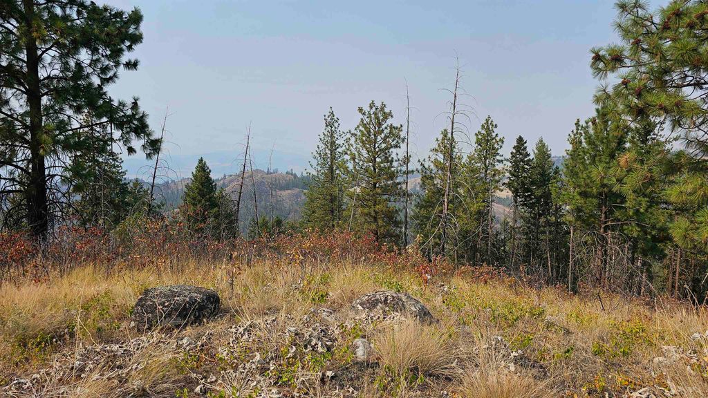 5884 H Coyote Canyon Rd, Fruitland, WA 99129 photo 11