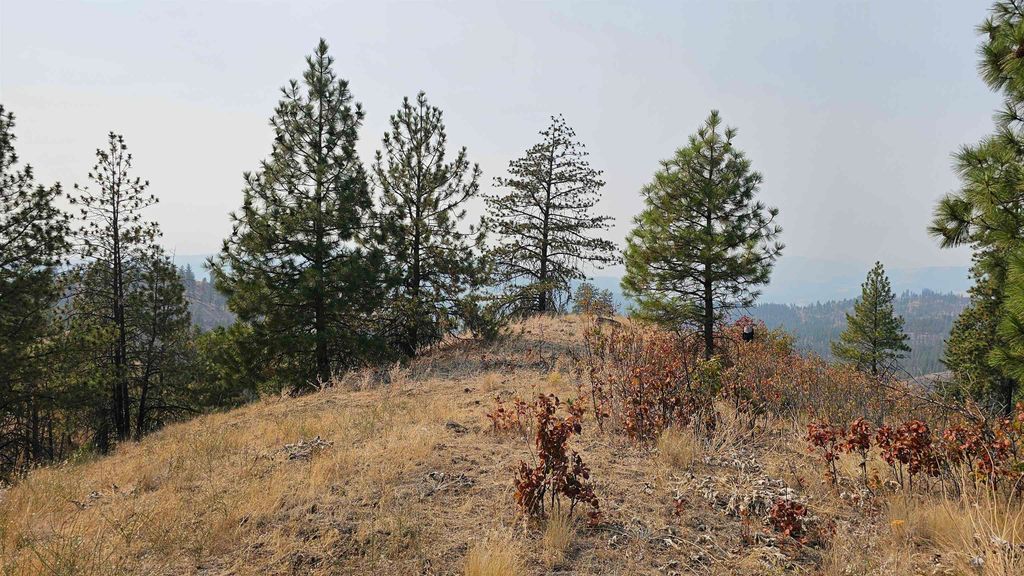 5884 H Coyote Canyon Rd, Fruitland, WA 99129 photo 12