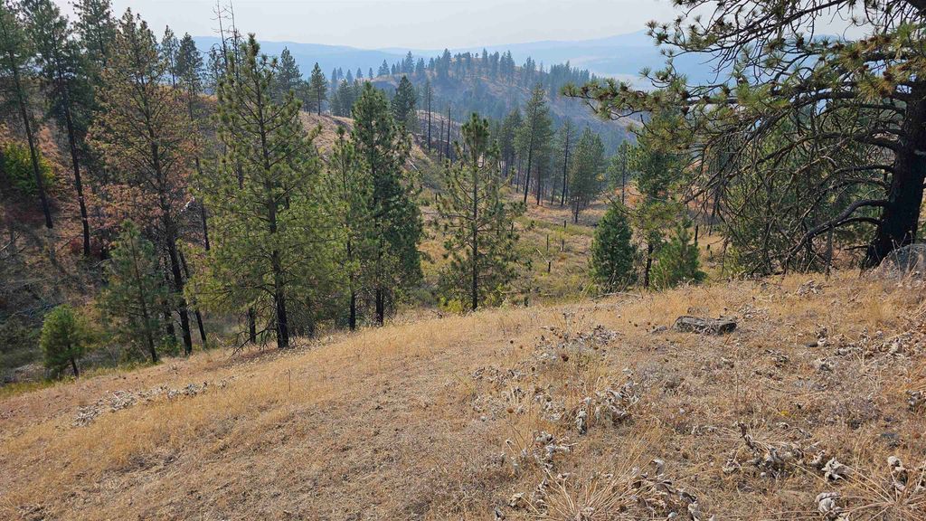 5884 H Coyote Canyon Rd, Fruitland, WA 99129 photo 14