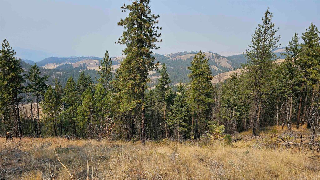 5884 H Coyote Canyon Rd, Fruitland, WA 99129 photo 15