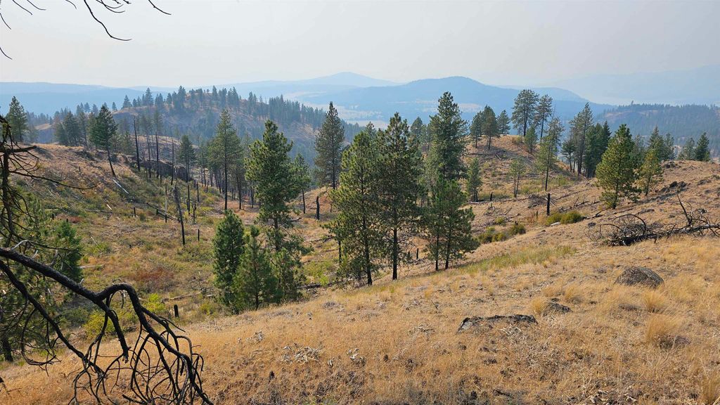 5884 H Coyote Canyon Rd, Fruitland, WA 99129 photo 17