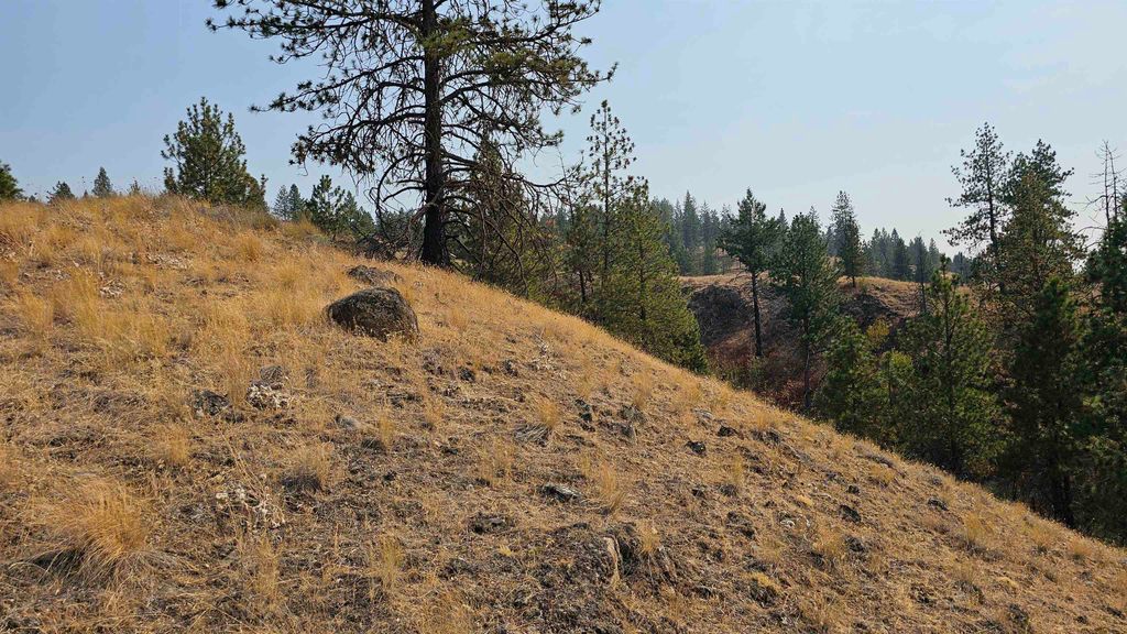 5884 H Coyote Canyon Rd, Fruitland, WA 99129 photo 18