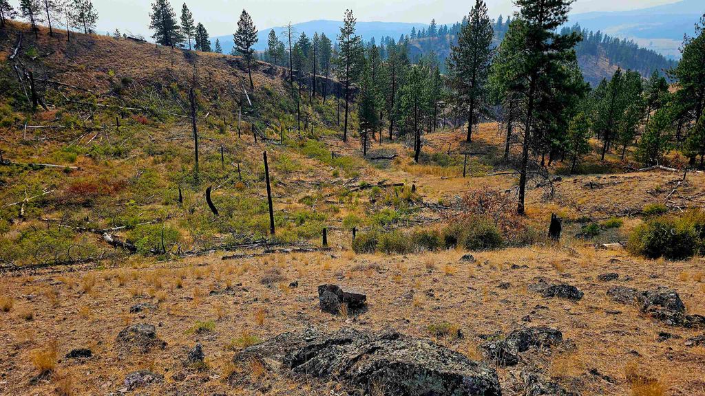 5884 H Coyote Canyon Rd, Fruitland, WA 99129 photo 20