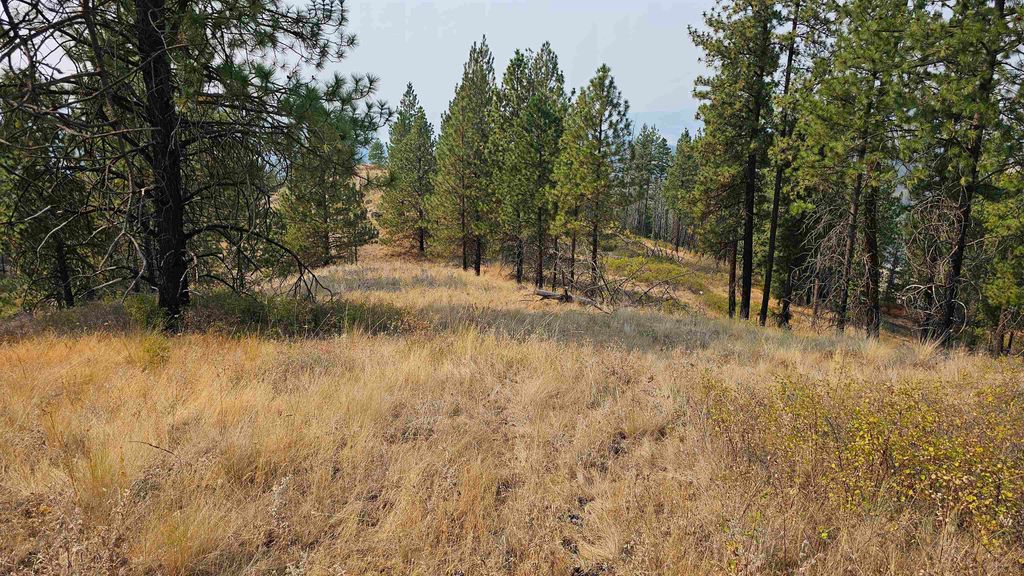 5884 H Coyote Canyon Rd, Fruitland, WA 99129 photo 3