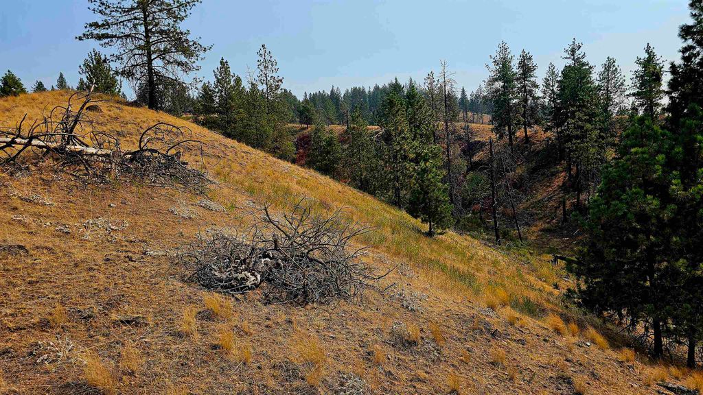 5884 H Coyote Canyon Rd, Fruitland, WA 99129 photo 21