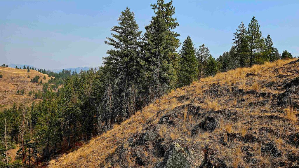 5884 H Coyote Canyon Rd, Fruitland, WA 99129 photo 22