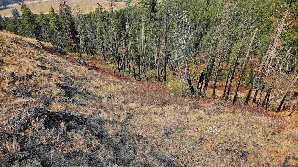 5884 H Coyote Canyon Rd, Fruitland, WA 99129 photo 23