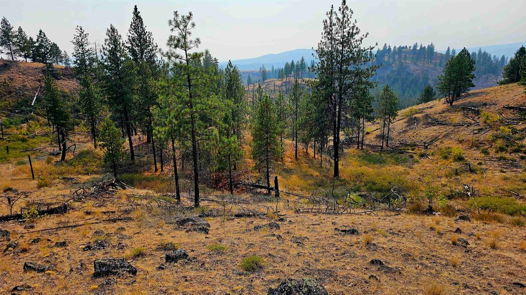 5884 H Coyote Canyon Rd, Fruitland, WA 99129 photo 26