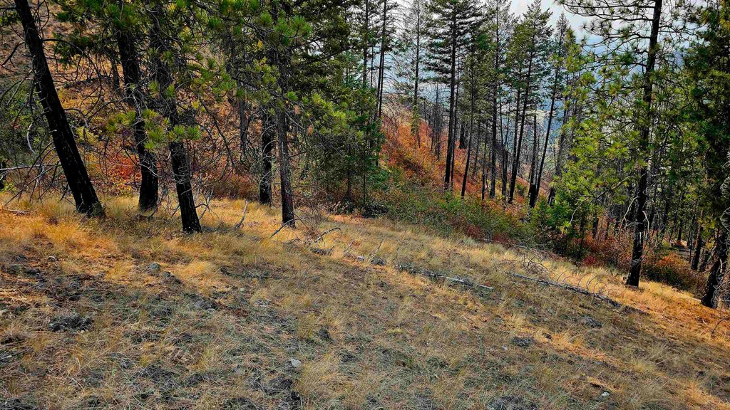 5884 H Coyote Canyon Rd, Fruitland, WA 99129 photo 27