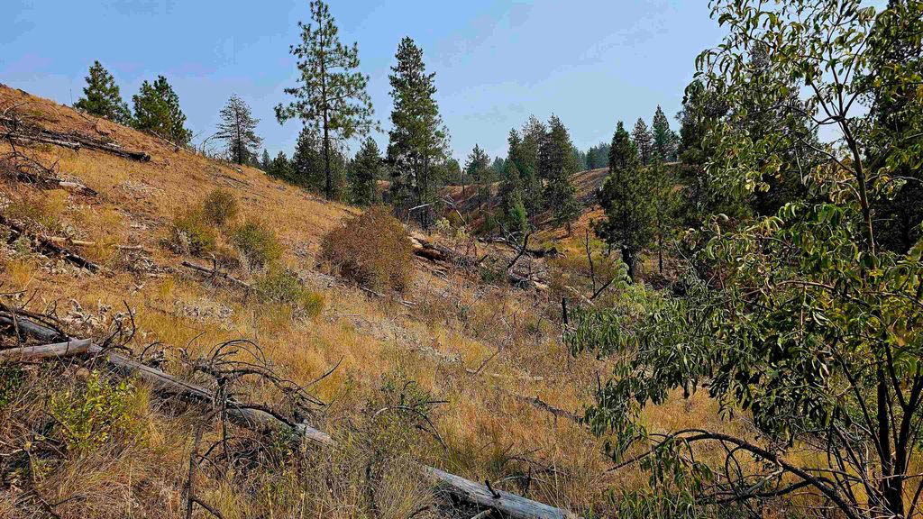 5884 H Coyote Canyon Rd, Fruitland, WA 99129 photo 28