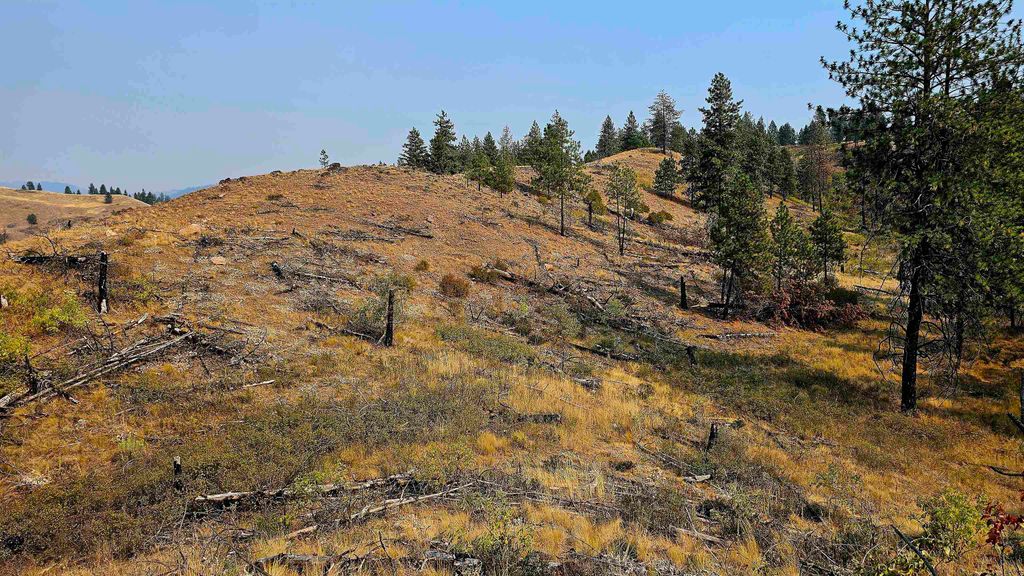 5884 H Coyote Canyon Rd, Fruitland, WA 99129 photo 29