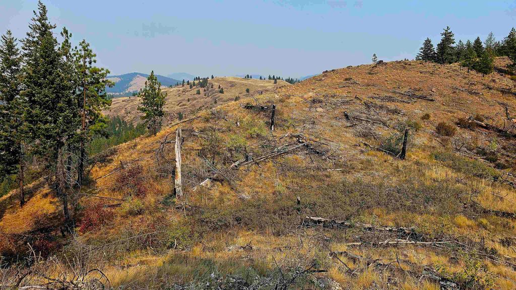 5884 H Coyote Canyon Rd, Fruitland, WA 99129 photo 30