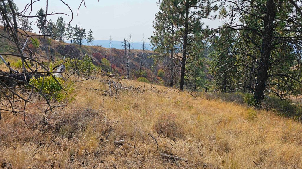 5884 H Coyote Canyon Rd, Fruitland, WA 99129 photo 4