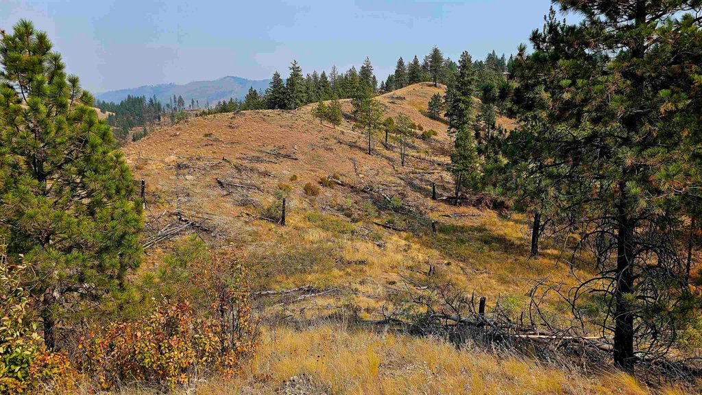 5884 H Coyote Canyon Rd, Fruitland, WA 99129 photo 31