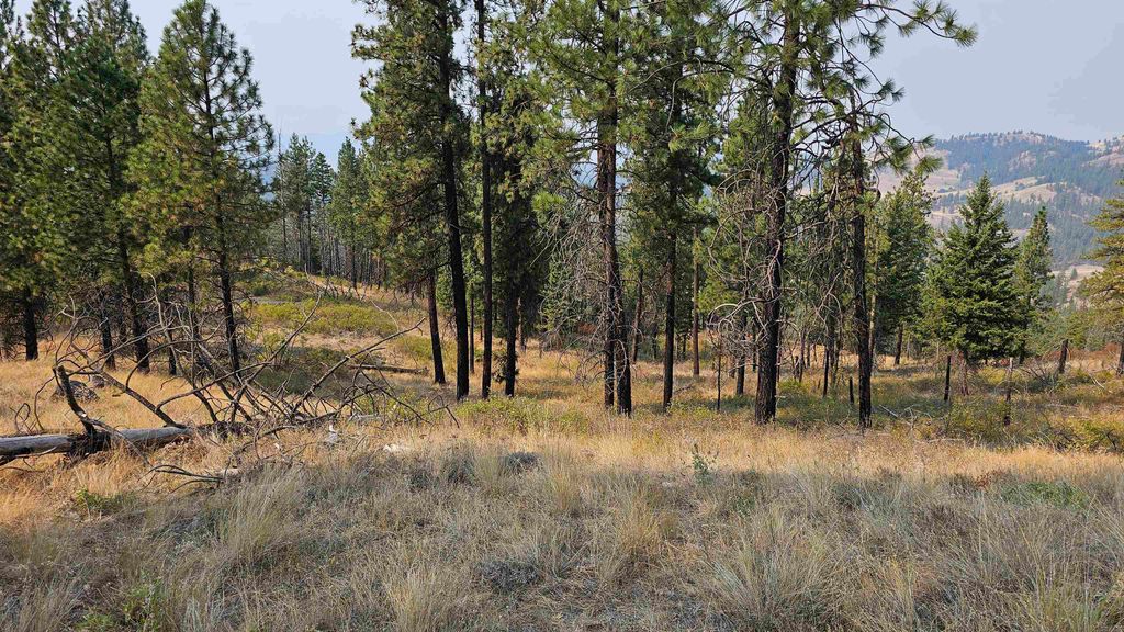 5884 H Coyote Canyon Rd, Fruitland, WA 99129 photo 5