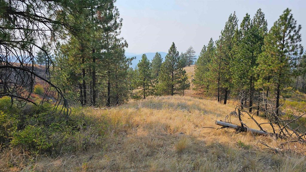 5884 H Coyote Canyon Rd, Fruitland, WA 99129 photo 6