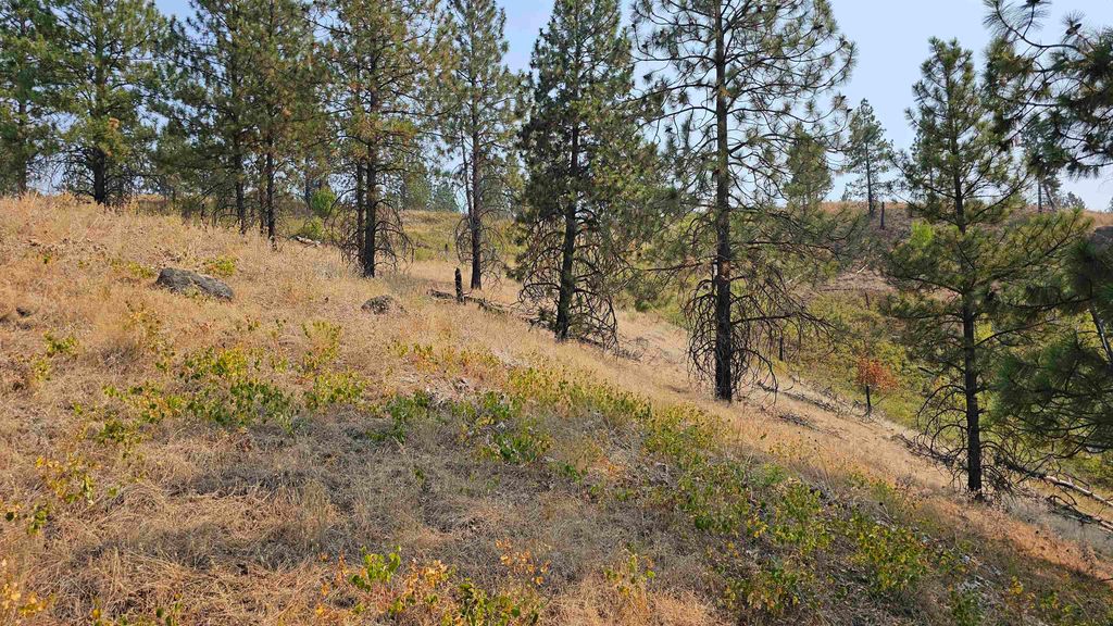 5884 H Coyote Canyon Rd, Fruitland, WA 99129 photo 7